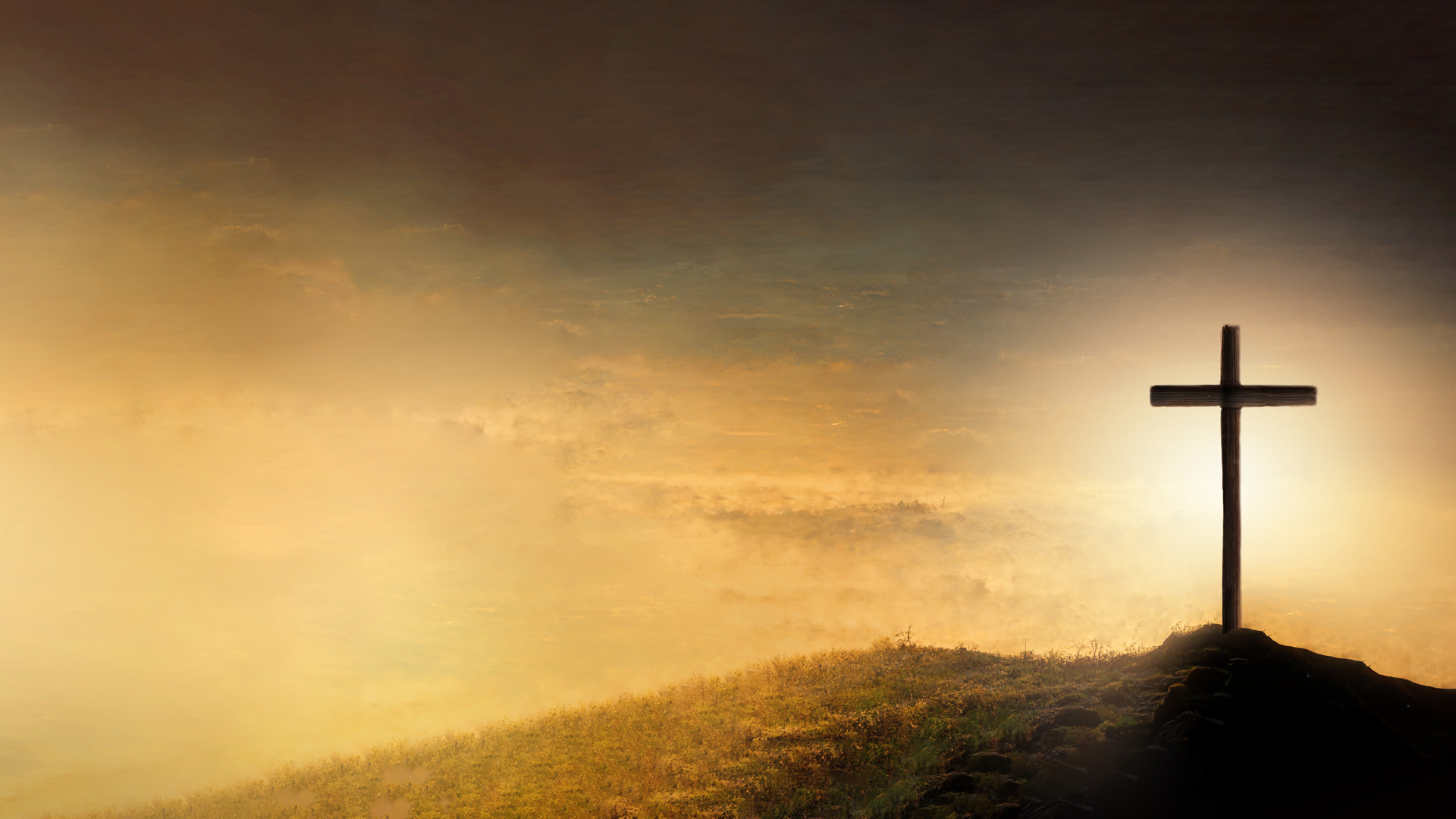 shutterstock_2213033373_108